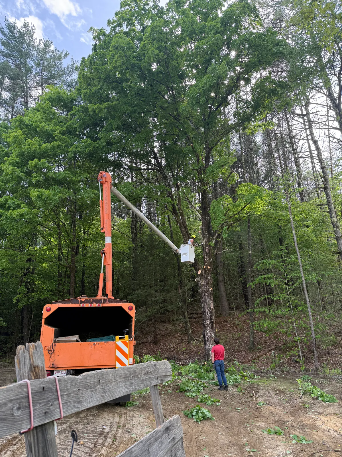 work photo from Google listing