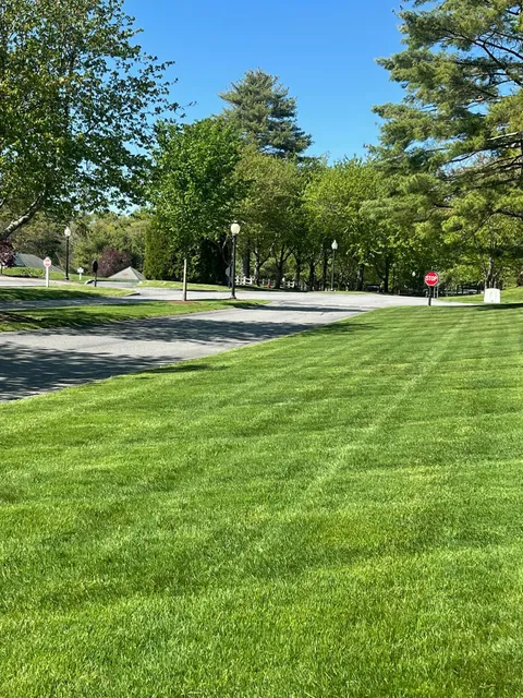 Bright green lawn with a walking path, trees, and a person in the distance on a sunny day.