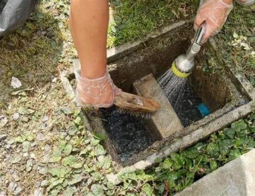 work photo from servicepumpingdrain.com
