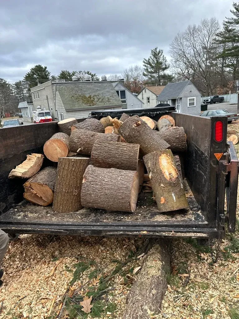 work photo from kjatreeserviceandlandscaping.com