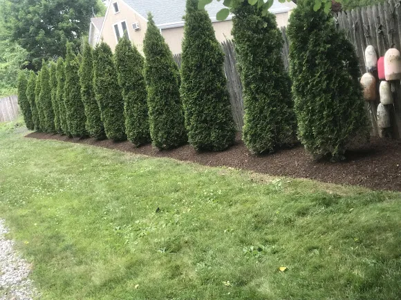 work photo from sarangolandscaping.com