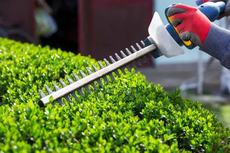 Landscaping