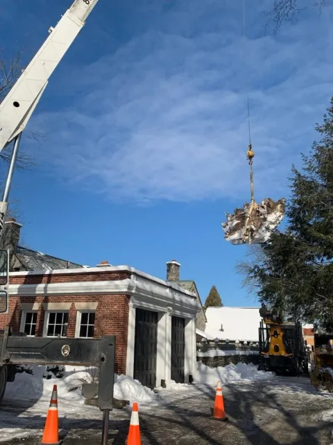 Crane.jpg