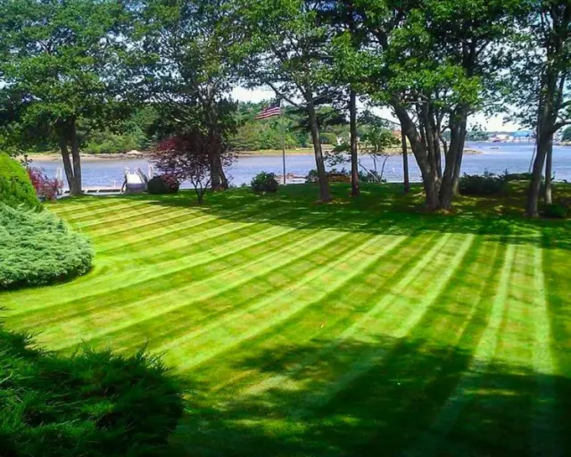 work photo from thedifferencelandscapes.com