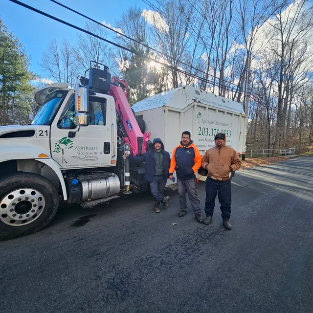 Northeast Horticultural Services work photo