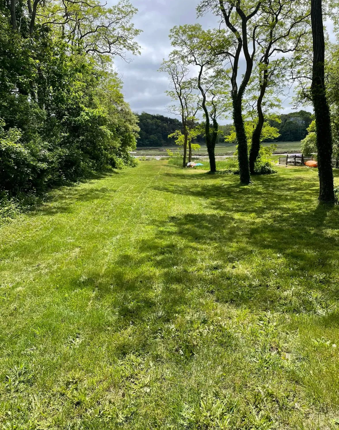 lawn pic