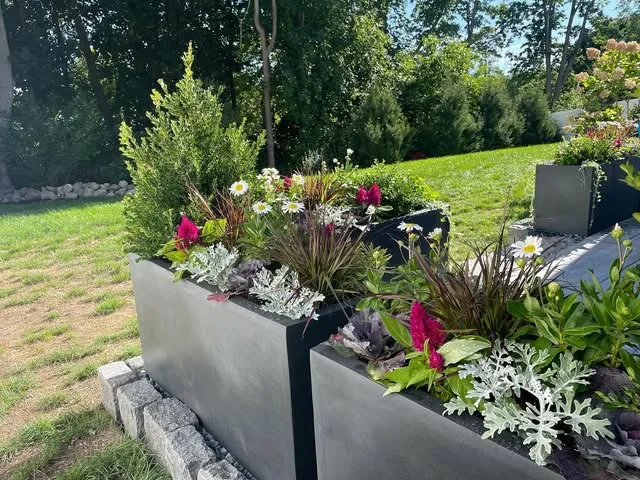 zone SIX Landscape Services researched project photo
