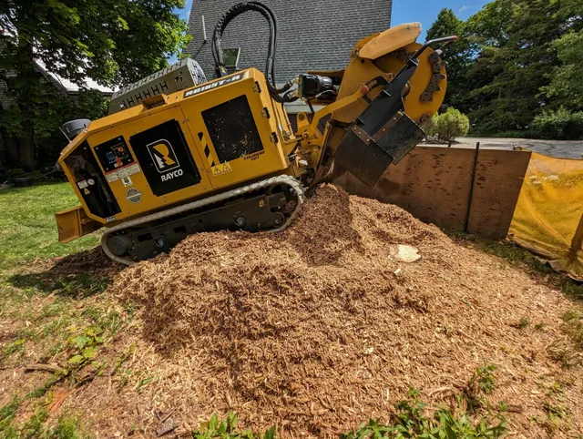 work photo from ezoutstumpgrinding.com