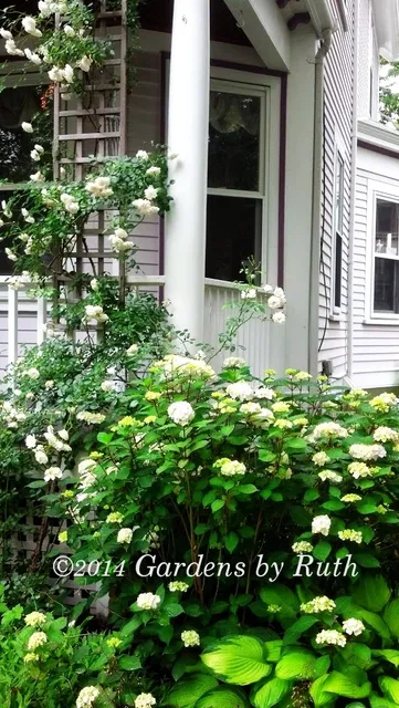 Gardens by Ruth