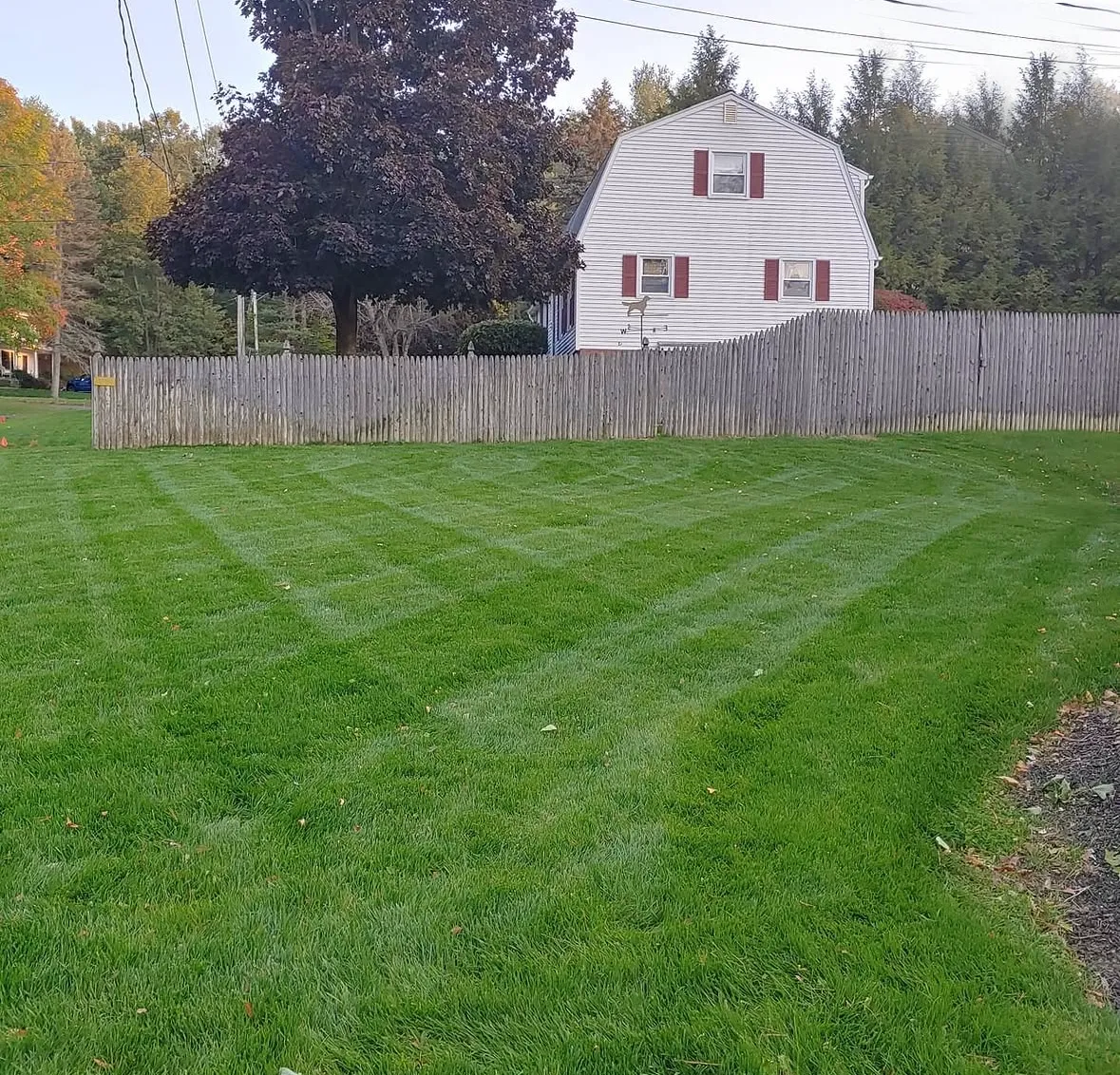 Fall: The Best Time for Grass Growth