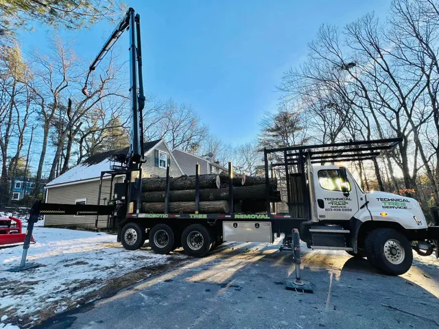 work photo from technicaltreeservice.com