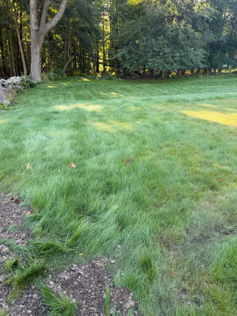 work photo from mrhydroseedlandscaping.com