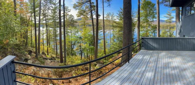 HUTCHS-TREE-VIEW.jpg