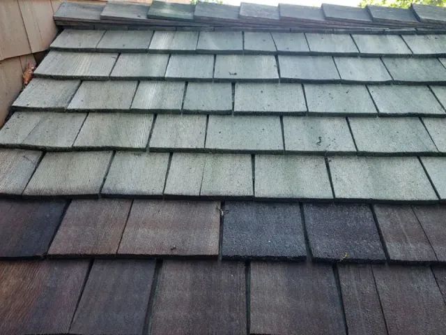 Before and after roof washing services in Auburn, ME