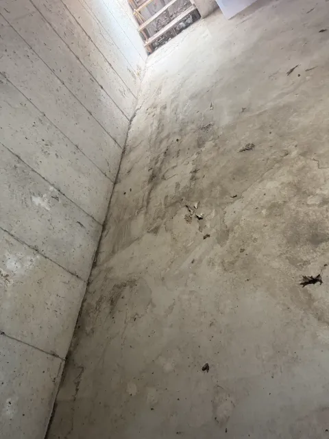 After: emptied concrete basement in Eliot