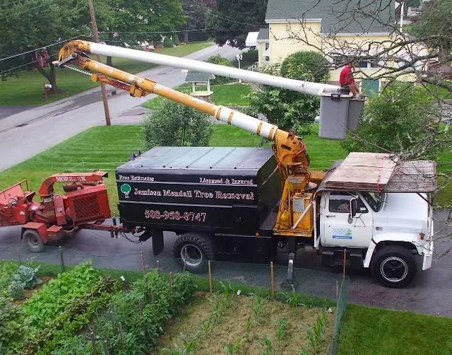 Mendall Tree Removal Service work photo