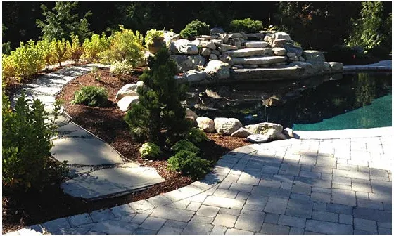 ANDOVER TREE PRESERVATION, CO. INC researched project photo