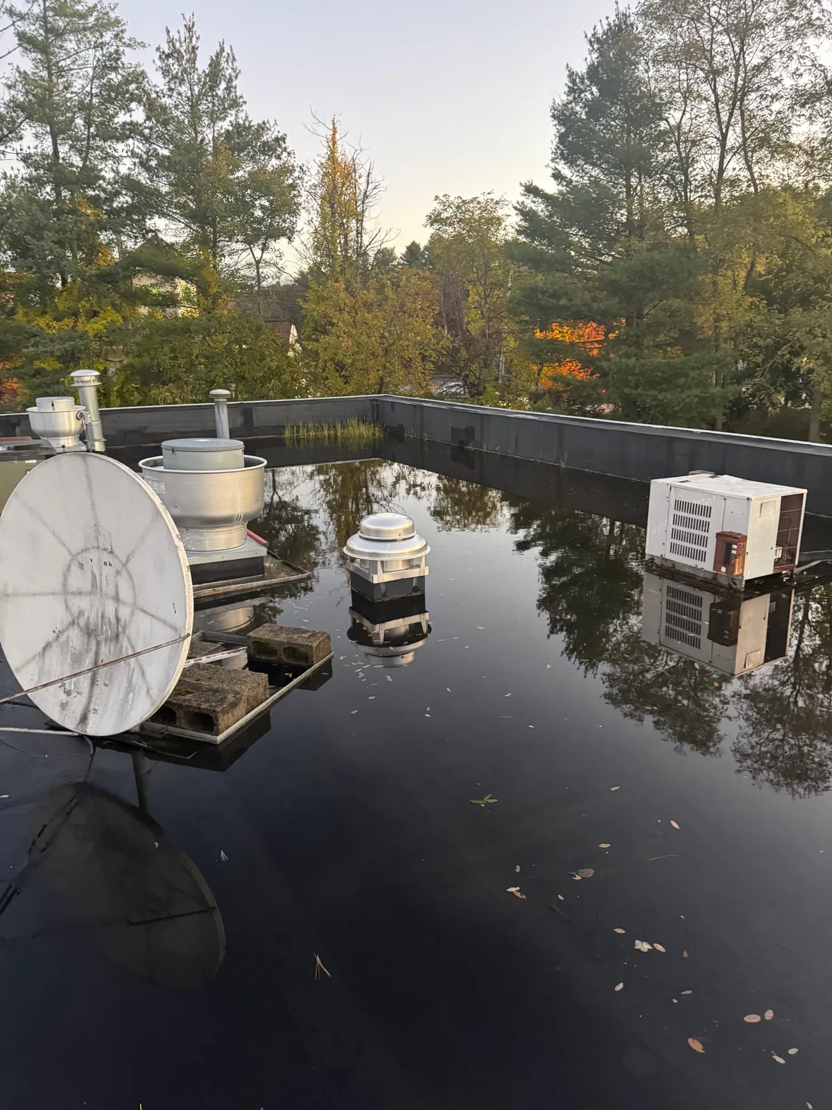 Flat commercial roof with ponding water before coating