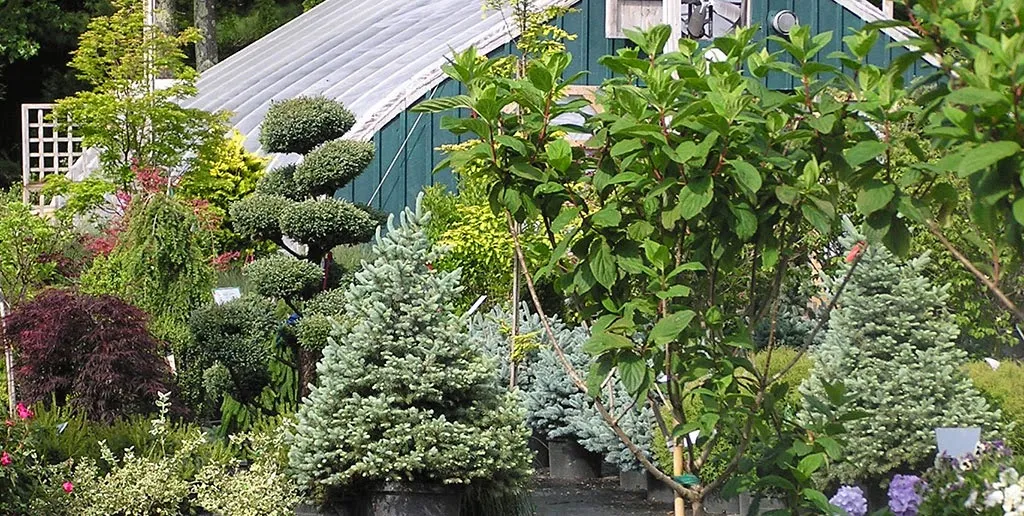 Gillis Landscape Garden Center