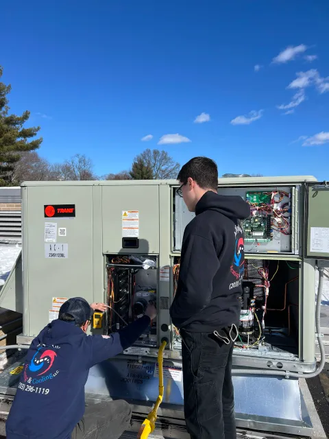 Maintenance