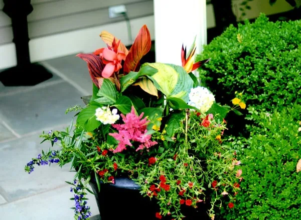 work photo from jenniferyateslandscapes.com
