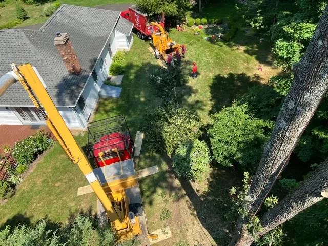 work photo from emltreeservices.com