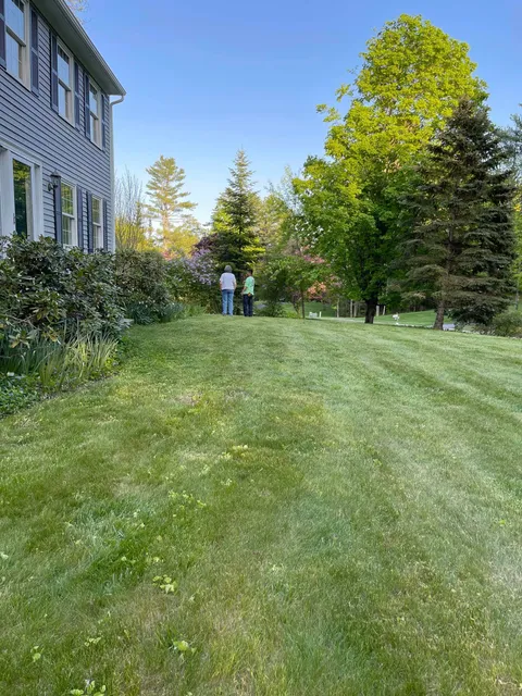 work photo from greeningreenouttreeservice.com