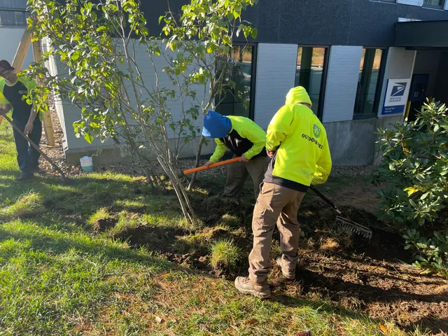 Outdoor Pride Landscaping Inc work photo