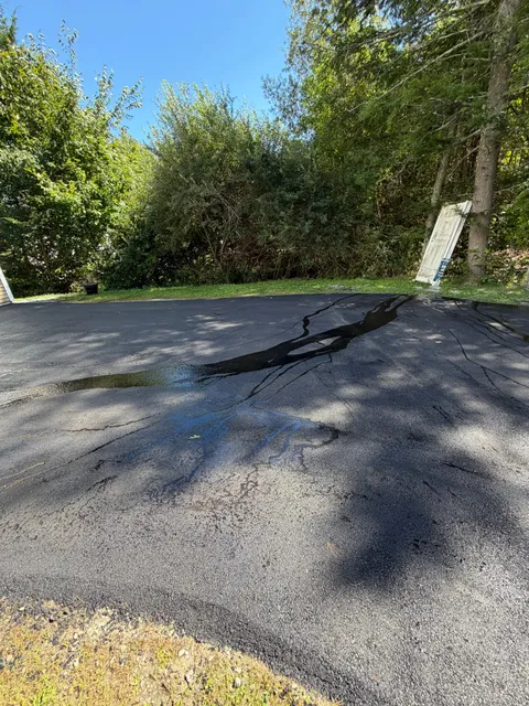Crack-filled and sealed driveway surface drying in the sun