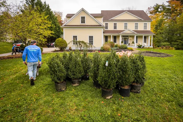 Pungitore Landscaping work photo