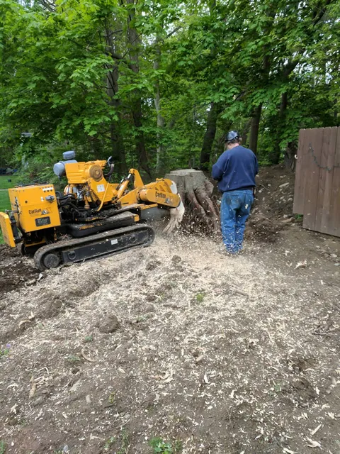 work photo from akandsontree.com