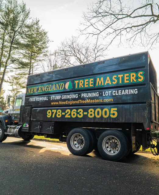 New England Tree Masters | Tree Service in Boxborough MA