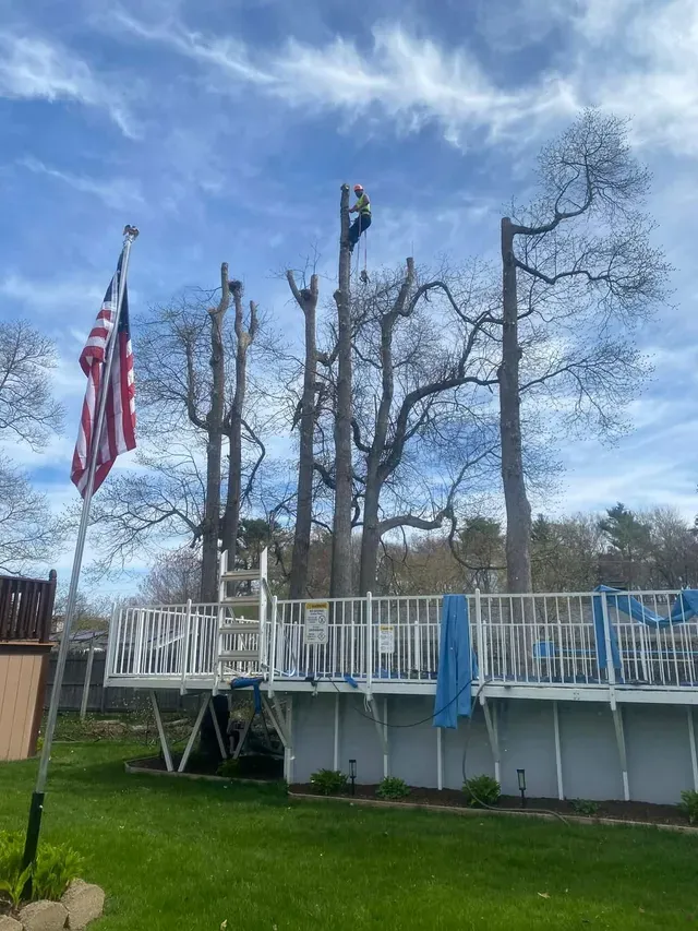 Backyard deck with white railing, bare trees, and a U.S. flag against a blue sky.