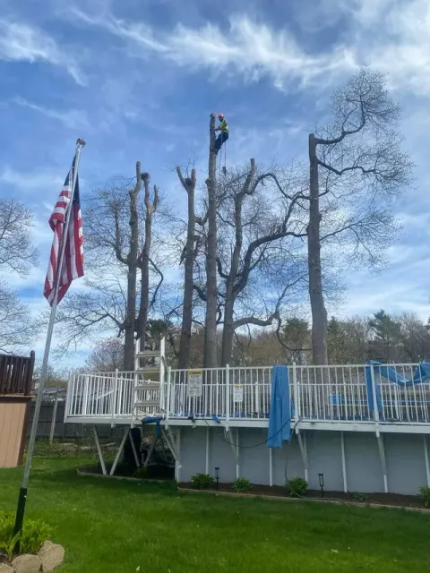 Backyard deck with white railing, bare trees, and a U.S. flag against a blue sky.