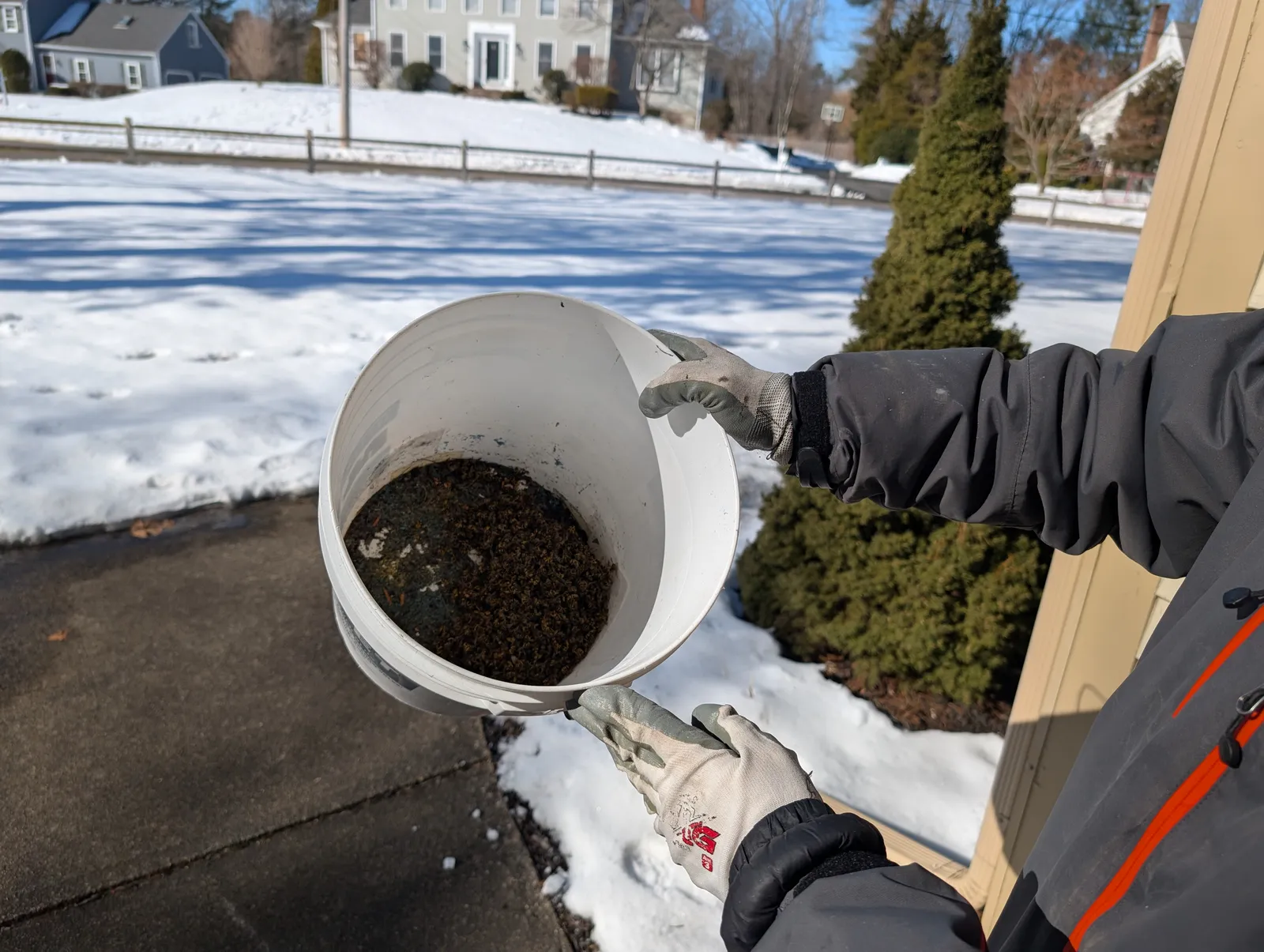 work photo from Google listing
