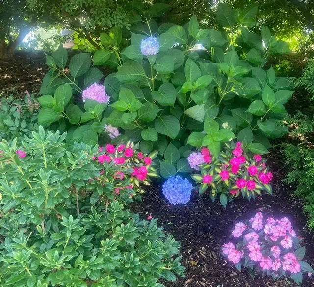 Liberty Blues Landscaping researched project photo