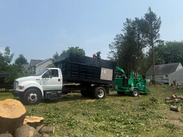 Y&B Landscaping Tree Services LLC work photo