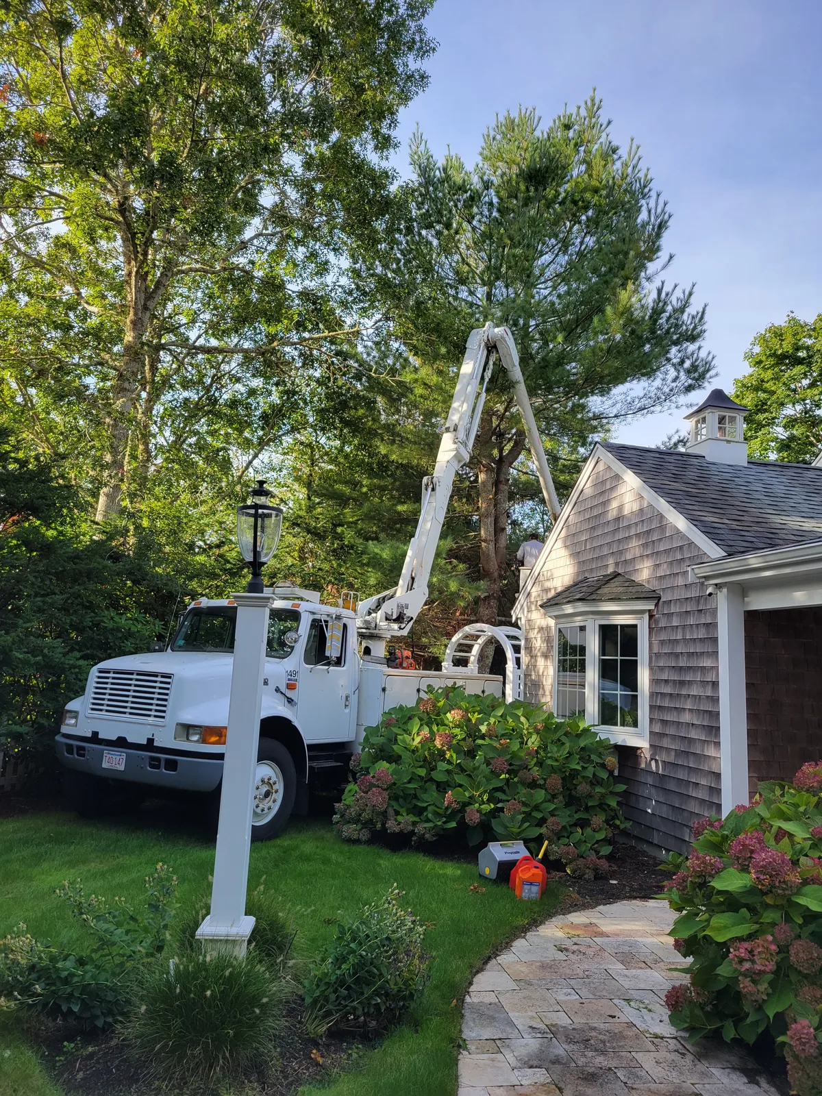 work photo from Google listing
