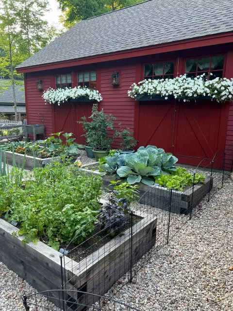 KORKIN'S LANDSCAPE & DESIGN researched project photo