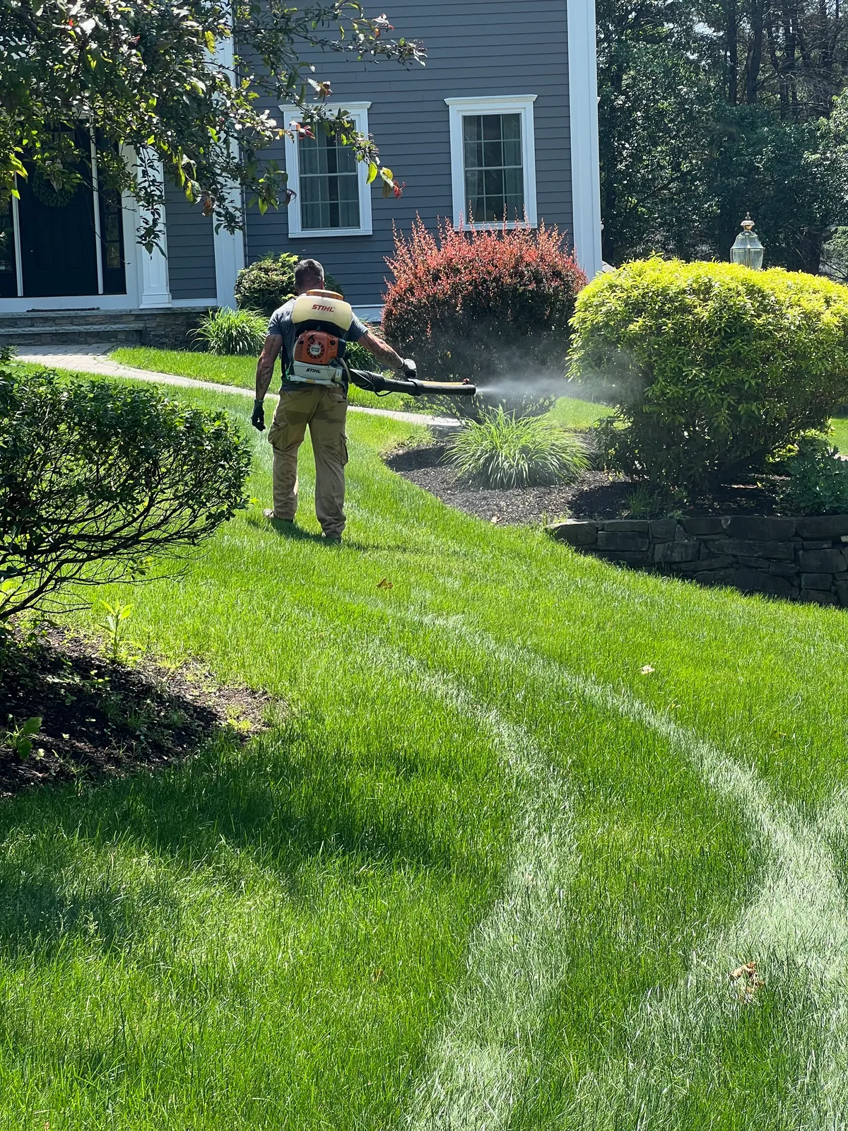 work photo from Google listing