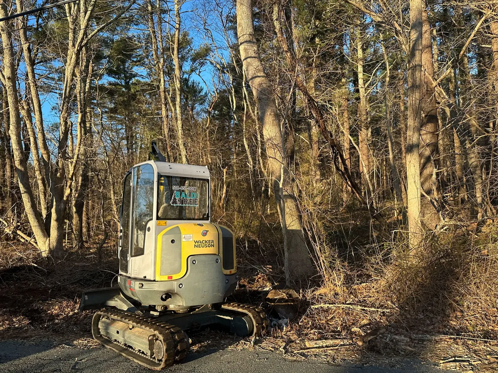 Lot Clearing