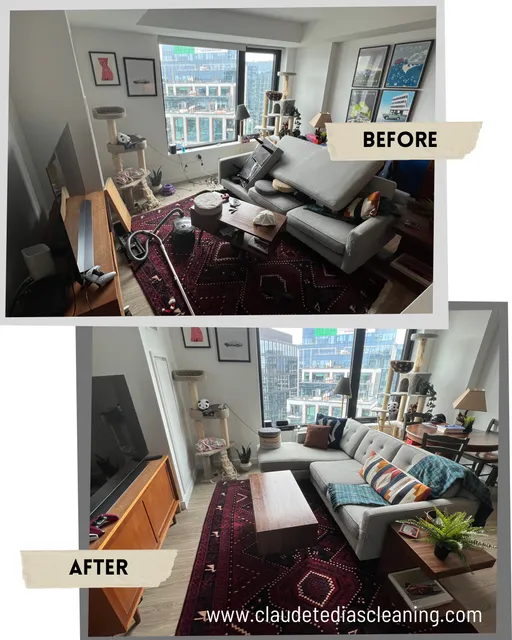 work photo from claudetediascleaning.com