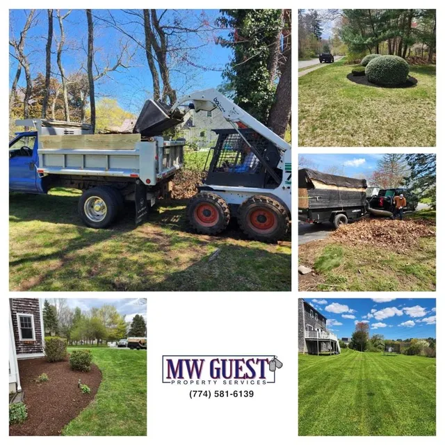 MW Guest Property Services