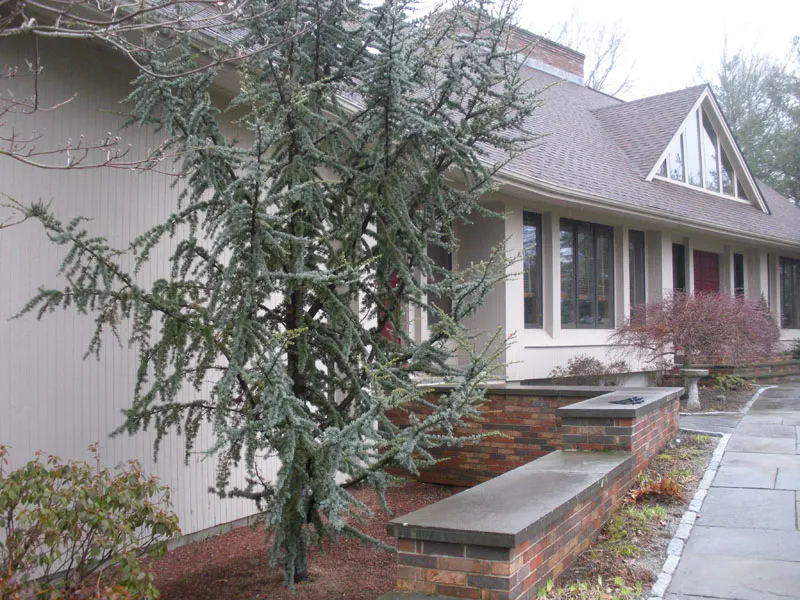 work photo from lundcopainting.com