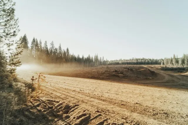 Stump grinding machine in action
