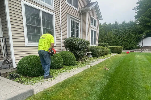 work photo from pearsonlawncarect.com