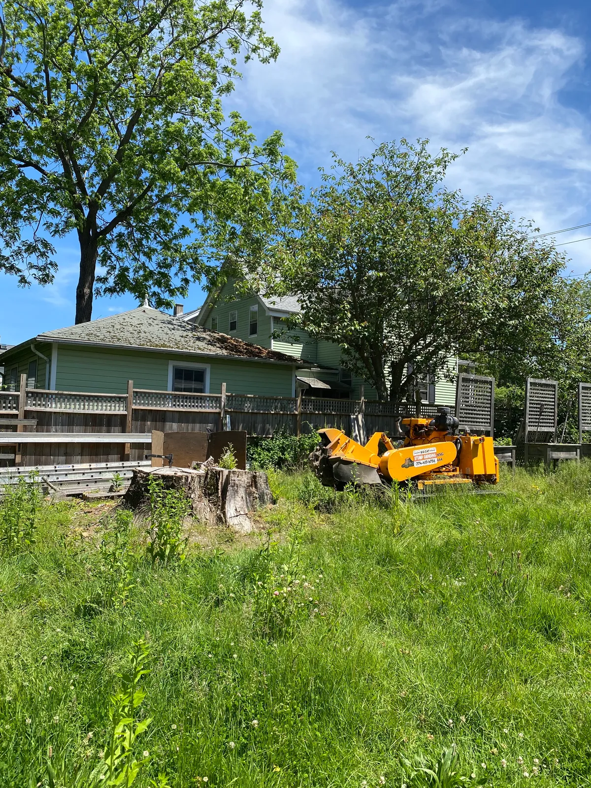 work photo from Google listing