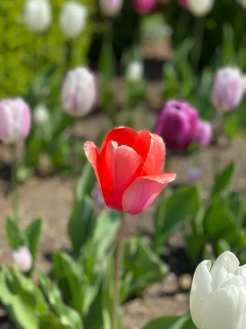 IMG_7120.jpg