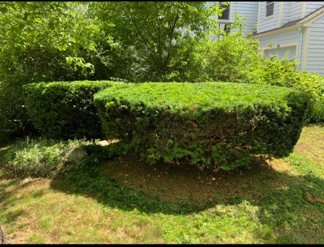 EC Landscaping work photo