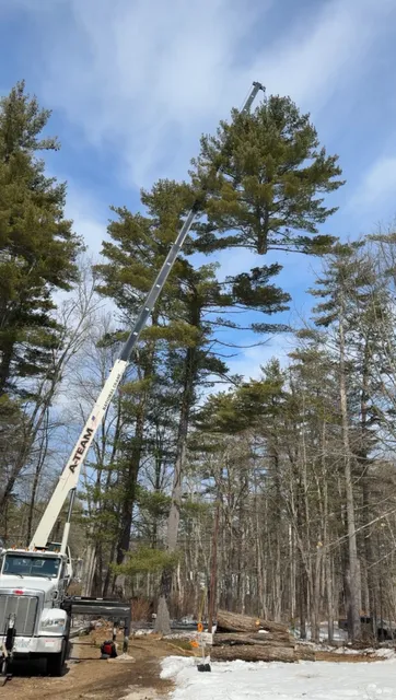 Integrated Vegetation Services, LLC work photo